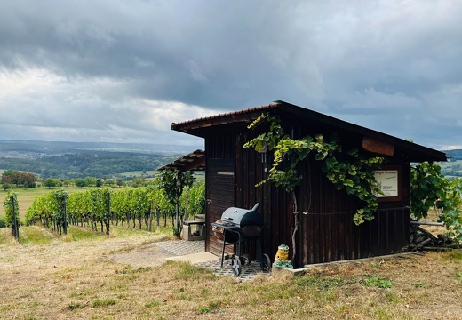 22-09-10 17-43-25 1964